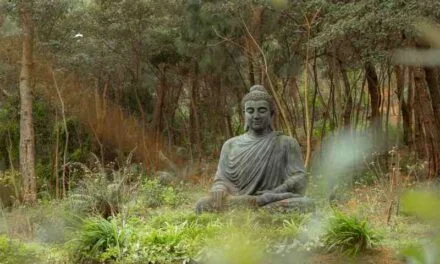 Unlocking Inner Peace: Exploring the Teachings of Buddhism