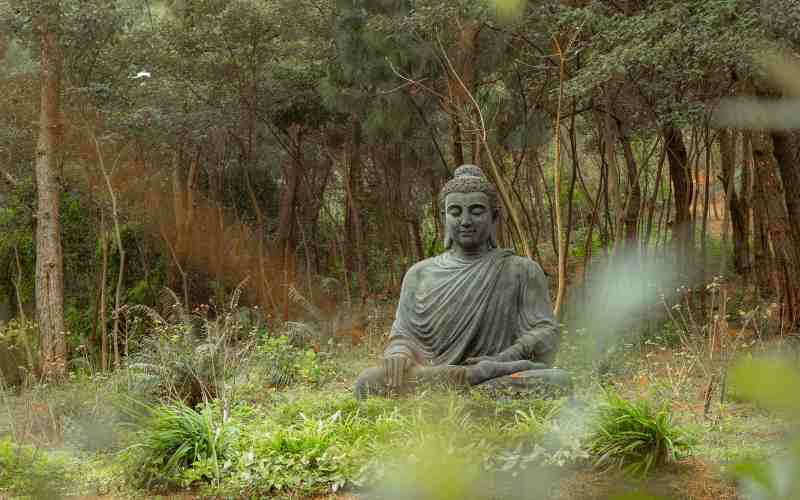 Unlocking Inner Peace: Exploring the Teachings of Buddhism
