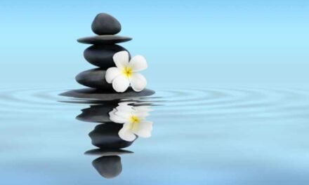 Why Japanese Zen Buddhism Challenges Your Usual Thinking