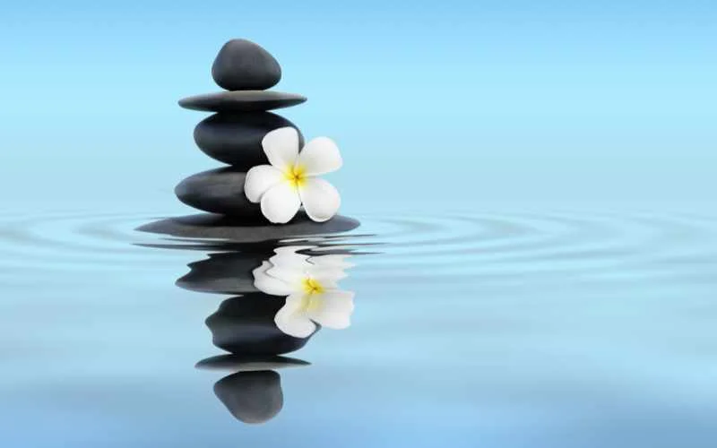Why Japanese Zen Buddhism Challenges Your Usual Thinking
