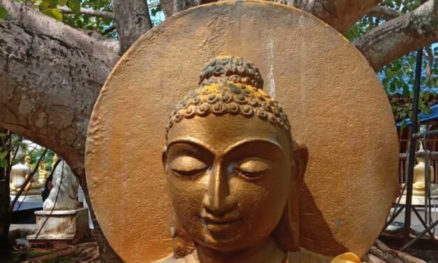 Practical Buddhist Meditation Techniques for Daily Use