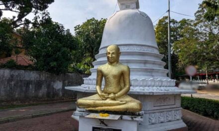 Zazen: Your Gateway to a Calmer, Clearer You