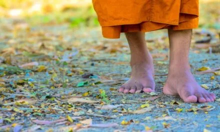 Kinhin: Walk Your Path to Mindfulness